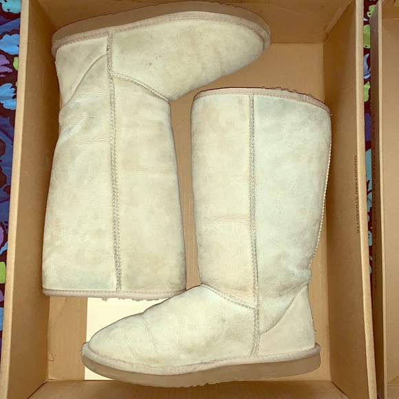 UGG Shoes - Ugg Classic Tall Boot